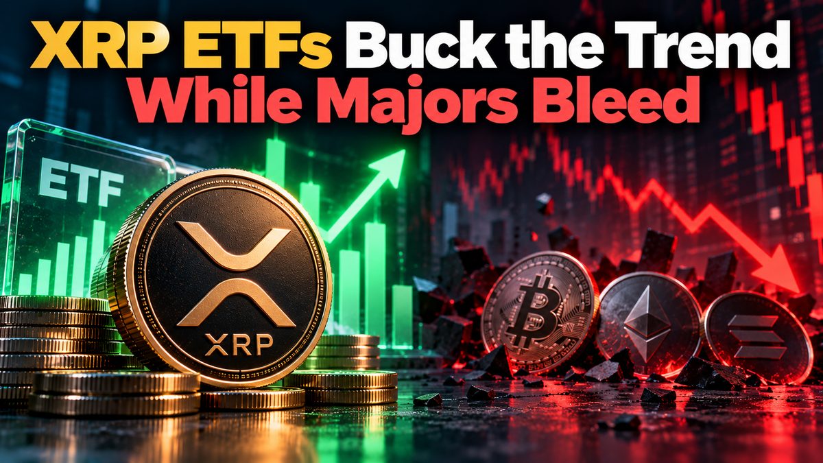 XRP ETFs Buck the Trend While Majors Bleed