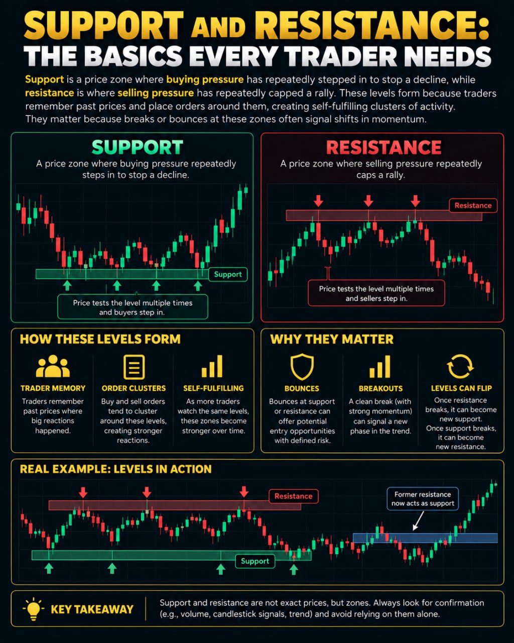 Support and Resistance Levels Explained: A Trading Basics Guide