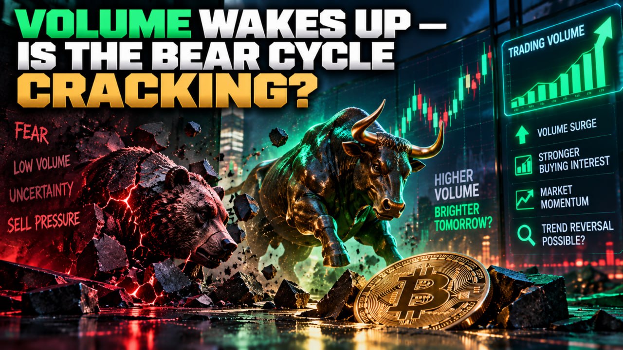 Volume Wakes Up — Is the Bear Cycle Cracking?