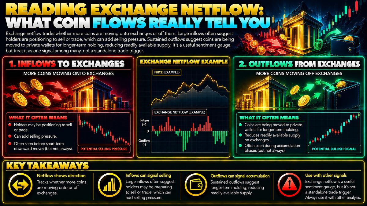Exchange Netflow Explained: What Coin Flows Really Tell You