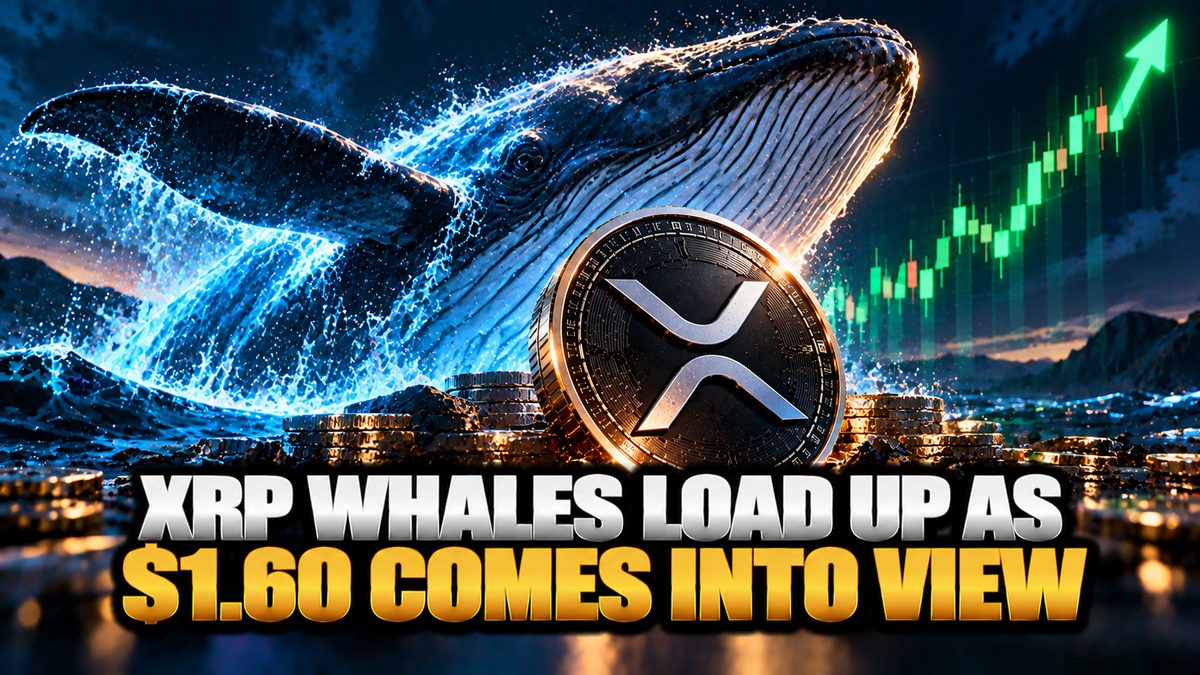 XRP Whales Load Up as $1.60 Comes Into View
