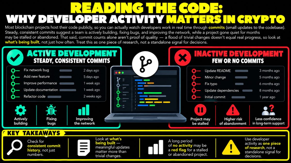 Developer Activity in Crypto: Why It Matters and What It Shows