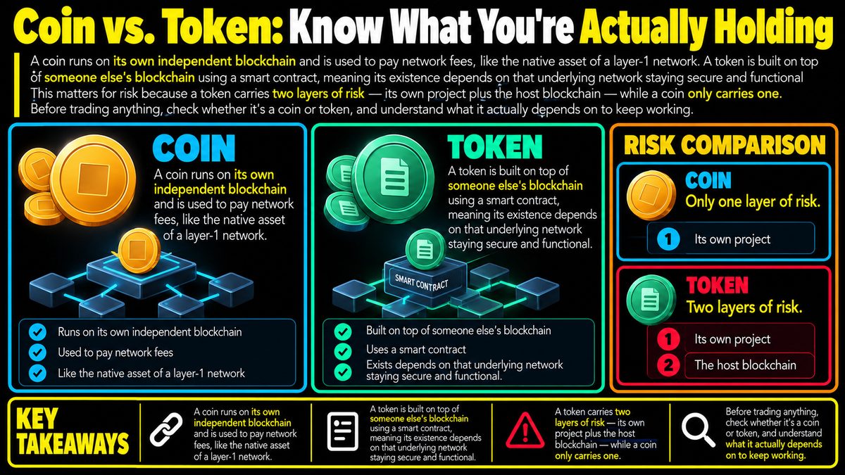 Coin vs Token: Know What You're Actually Holding